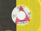 SLY & THE FAMILY STONE UNDERDOG B/W BAD RISK NON-LP WLP EPIC 45 EX