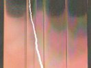 RIN - EROS VINYL