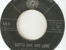 THE VOLUMES Gotta Give Her Love AMERICAN ARTS DETROIT NORTHERN SOUL USA 45
