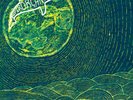 Superorganism - Self Titled LP NEW
