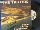 TRIFFIDS BORN SANDY DEVOTIONAL w/ INSERT