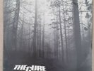 THE CURE A FOREST 12