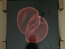 PETER GABRIEL Scratch My Back Ltd Ed Of 50 Box Set RED Vinyl LP, 2CD, USB NEW