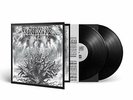 KING OF ASGARD - SVARTRVIÐR