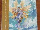 Digimon Song Best of Koji Wada Limited Edition Vinyl