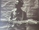 rare original Lp Hound Dog Taylor US first press 1971 on Alligator label