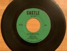 Steve Ellis Sandpaper Castles on Castle 1969 Florida Garage Autographed