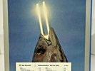 REO Speedwagon - You Can Tune A Piano, But You Can't Tuna Fish 1963 Vinyl Promo