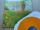 Jhené AIko – Trip 2 x Vinyl LP Album Limited Edition Orange Translucent RARE