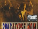 2Pac - 2Pacalypse 2LP Vinyl (FACTORY SEALED)