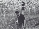 Jesu Sun Kill Moon LP 