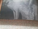 LANA DEL REY Chemtrails Over The Country Club BLUE Vinyl LP - RSD Black Friday