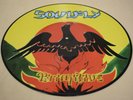 2000 Soulfly Primitive PICTURE DISC Vinyl LP Record HEAVY METAL -R41