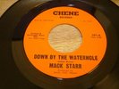 Rare Northern Soul Mack Starr Down by the waterhole/Bundle of Joy Chene records