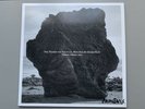 DAMON ALBARN - THE NEARER THE FOUNTAIN HAND SIGNED VINYL LP ULTRA LIMITED BLUR