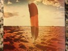 Xavier Rudd Spirit Bird Super Rare Clear 2xLP Gatefold