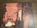 Transit- Stay Home Vinyl