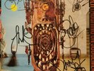 Thunder, Laughing On Judgement Day, Vinyl, 1992, EMD1035, Signed  Super Rare