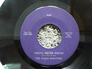 VERY RARE 1967 PRIVATE GARAGE ROCK-THE CHAIN REACTION-YOU'LL NEVER KNOW-45-NICE