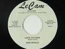 Psych Funk 45 - New World - Look Outside - Le Cam - VG+ mp3 - obscure