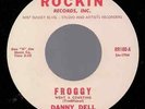 DANNY DELL & TRENDS REPRO 45 Froggy Went ACourtin '60 ROCKIN RECORDS ROCKABILLY