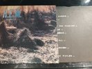R.E.M. REM MURMUR Vinyl LP Album Punk Rock Music Rare Item