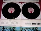 DIVINE MADNESS - 1992 UK DOUBLE VINYL LP - suggs stiff ska two 2 tone mod cd