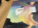 Nick Drake - Pink Moon - Simply Vinyl - Lp