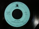 MONGO STRUT SOUL RELATION 45 RECORD JIM JENKINS A CHANGE IS GOING TO COME BEETLE