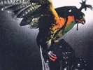 Budgie - In For the Kill [LP] [Vinyl] NEW