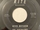 The Debonaires Never Mistaken Summertime 45 Vinyl Single Rite Records Garage VG