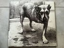 Alice In Chains Self-Titled 2xLP1995 Columbia C2 67248