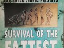 Survival Of The Fattest Fat Wreck Chords Fat Music Vol. II Vinyl LP Record 1996