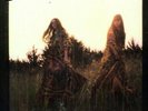 FIRST AID KIT - LION'S ROAR NEW VINYL