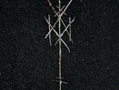 Wiegedood - There's Always Blood At The End Of The Road (NEW 2 VINYL LP)
