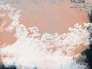 ADMIRAL FALLOW THE IDEA OF YOU NEW SEALED COLOURED VINYL LP IN STOCK