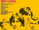 BEE GEES - BEST OF BEE GEES NEW VINYL