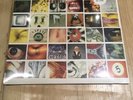 Vinyl 12