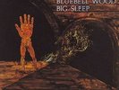 Big Sleep - Bluebell Wood (LP 1971 Pegasus PEG 4) » UK issue » foc » rarity
