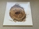 Wilco A Ghost Is Born Vinyl double LP VG+/VG+ 2004 1st Nonesuch Rhino 76492-1