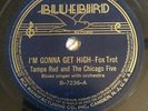 Tampa Red pre-war blues 78 Bluebird records VG+++ “im gonna get high”