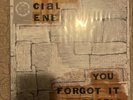 BROKEN SOCIAL SCENE 12