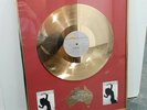 Technotronics Gold Vinyl Disc Award Display - Pump Up The Jam Australia 1990