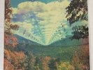 TAME IMPALA   INNERSPEAKER (Sealed) VINYL Double LP   2011 Modular MODVL128