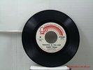 TERRY JACKS -(45)- WHITE LABEL PROMO COPY - SEASONS IN THE SUN / MONO VER.- 1973