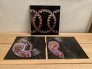 Tool - Lateralus Vinyl 2LP Picture Disc RARE
