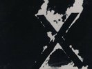 X LOS ANGELES LP 12