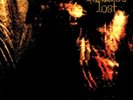 Paradise Lost GOTHIC 180g LIMITED EDITION New Gold Colored Vinyl Record LP