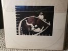 Captain Beefheart Clear Spot LP Original Press