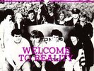 ADOLESCENTS - WELCOME TO REALITY (10-INCH) (EP) NEW VINYL